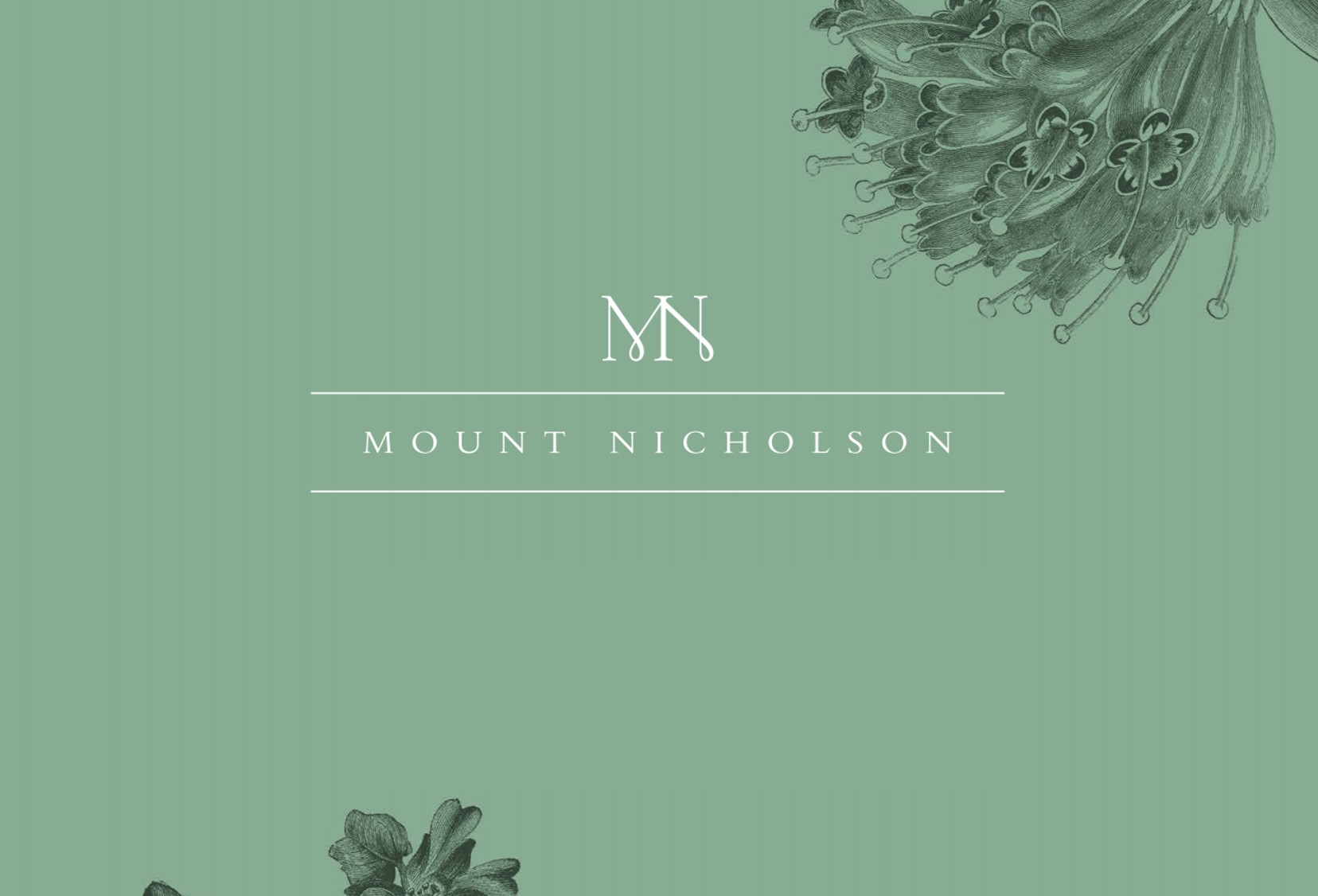 Mount Nicholson