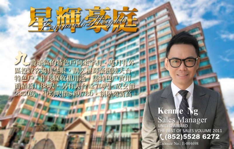 星輝豪庭錄得向南連天台成交