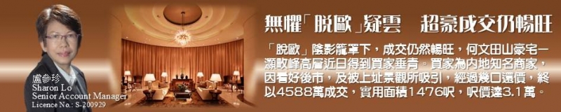 無懼脫歐疑雲  超豪成交仍暢旺