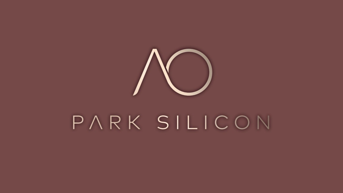 Park&nbsp;Silicon